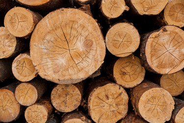 Similar image 21210123