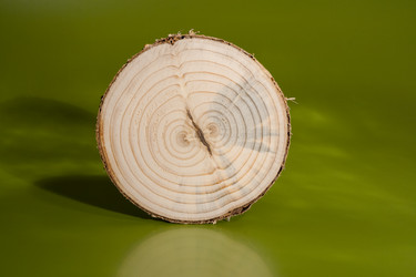 Similar image 21210646