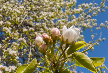 Similar image 21210648