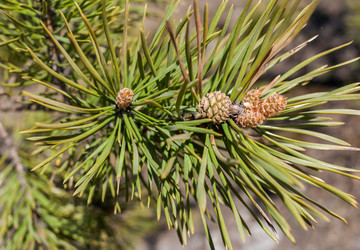 Similar image 21210650