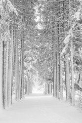 Similar image 21210660