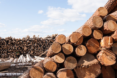 Similar image 21210662