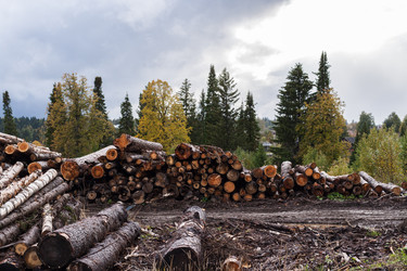 Similar image 21210670