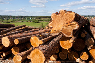 Similar image 21210671