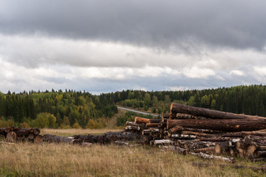 Similar image 21210672