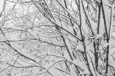 Similar image 21210673