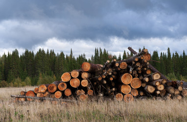 Similar image 21210674