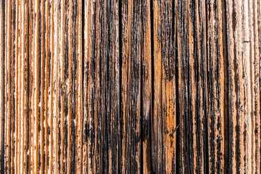 Similar image 21210675