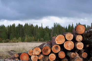 Similar image 21210133