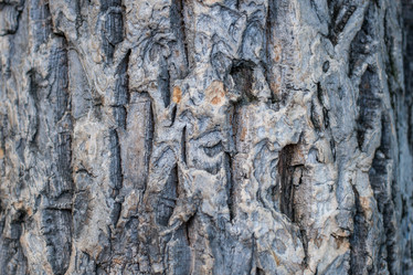 Similar image 21210138