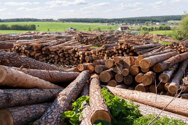 Similar image 21210140