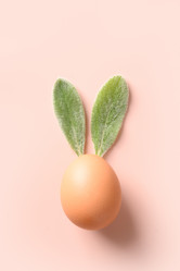 Similar image 21203928