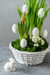 Similar image 21203940