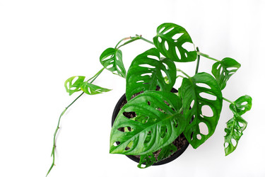 Similar image 21209524