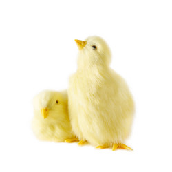 Similar image 21204012