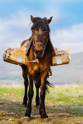 Similar image 21209432