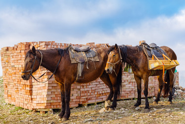 Similar image 21209433