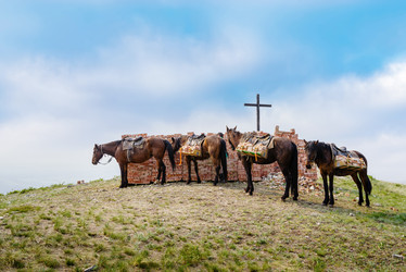 Similar image 21209435