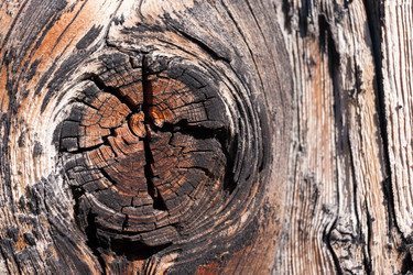 Similar image 21210683