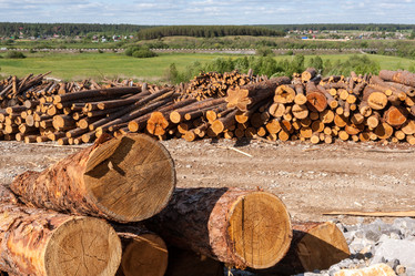 Similar image 21210686