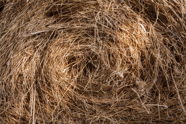 Similar image 21210693