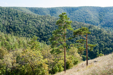 Similar image 21210143