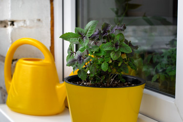 Similar image 21206749