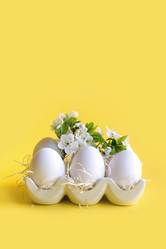 Similar image 21204068