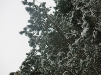 Similar image 21212718