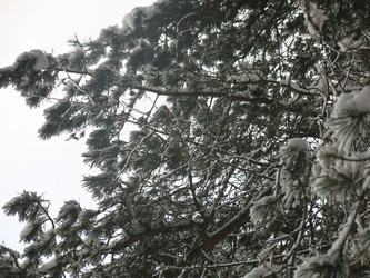 Similar image 21212719