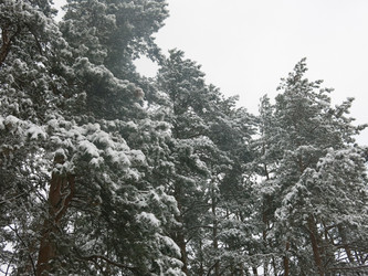 Similar image 21212720