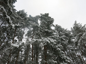 Similar image 21212722