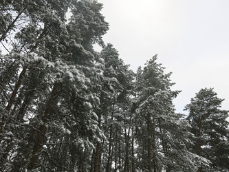 Similar image 21212723