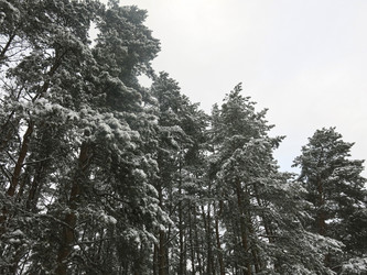 Similar image 21212724