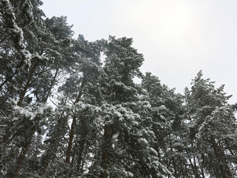 Similar image 21212725