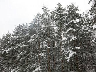 Similar image 21212726