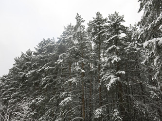 Similar image 21212727