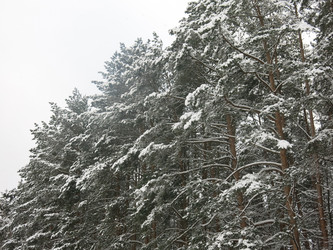 Similar image 21212729