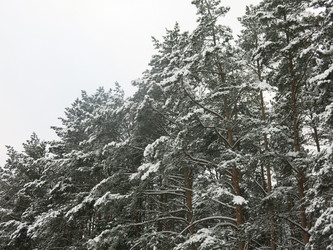 Similar image 21212730