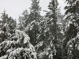 Similar image 21212731