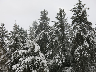 Similar image 21212732