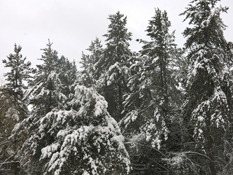 Similar image 21212734