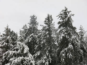 Similar image 21212735