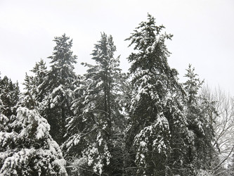 Similar image 21212736