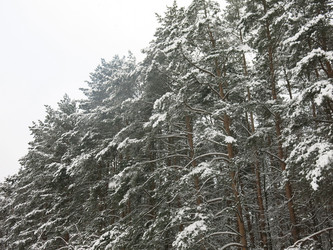 Similar image 21212737