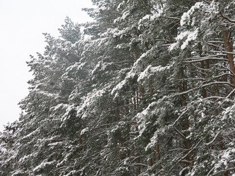 Similar image 21212738