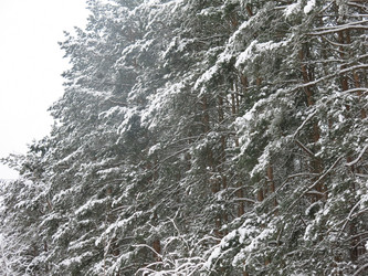 Similar image 21212739