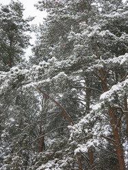 Similar image 21212742