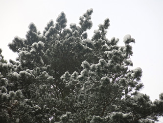 Similar image 21212743