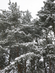 Similar image 21212744